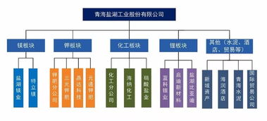 鉀肥巨頭陷債務(wù)危機(jī) 無力償還439萬元債務(wù)，被申請重整恐臨破產(chǎn)